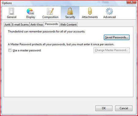 Thunderbird Security